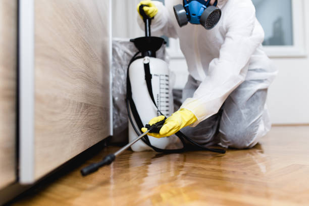 Best Local Pest Control Services  in Tomahawk, WI