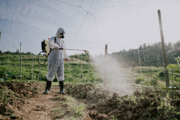 Flea Control Services in Tomahawk, WI