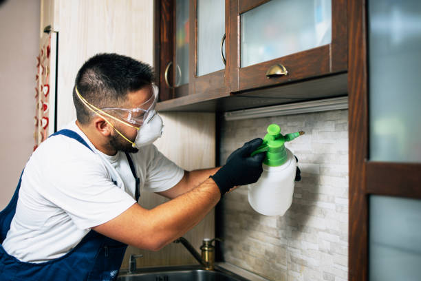 Best Bed Bug Extermination  in Tomahawk, WI