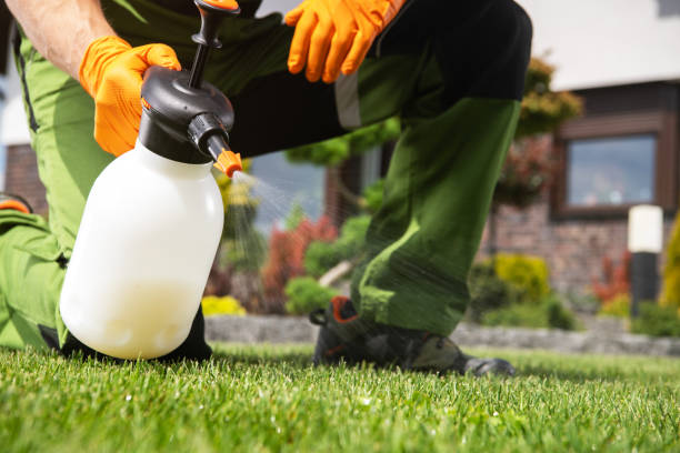 Pest Control for Restaurants in Tomahawk, WI