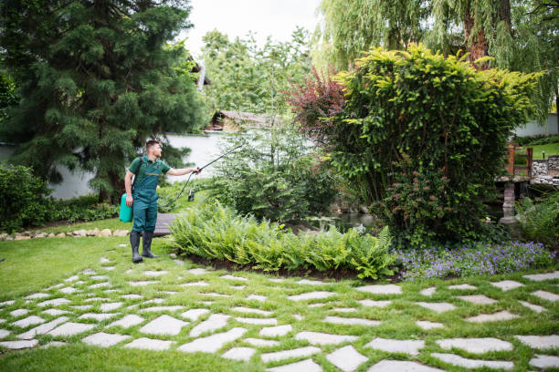 Best Exterminator Services  in Tomahawk, WI