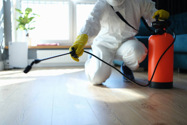 Best Flea Control Services  in Tomahawk, WI