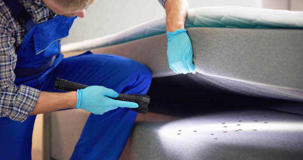 Best Pest Control for Restaurants  in Tomahawk, WI